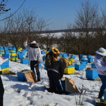 A family of beekeepers at work in the apiary"Honey river"